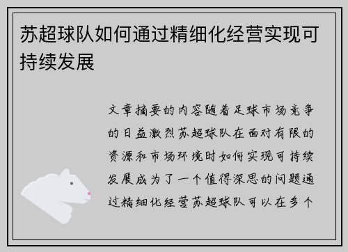 苏超球队如何通过精细化经营实现可持续发展